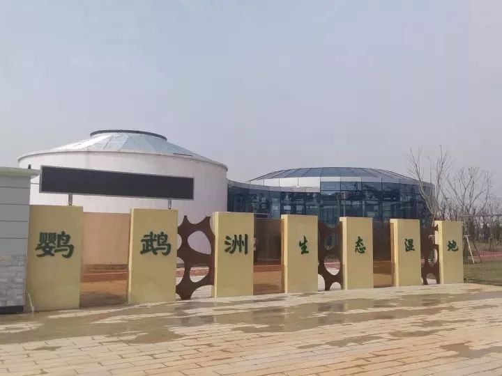 魔都這個23萬平濕地公園，本周末起免費開放