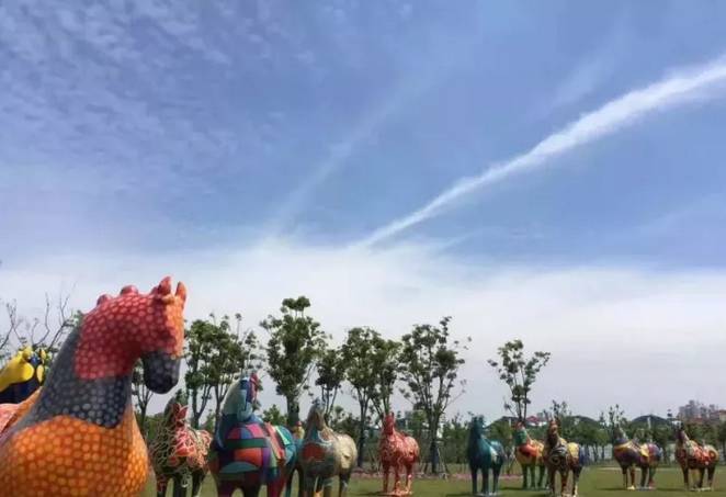 魔都這個23萬平濕地公園，本周末起免費開放