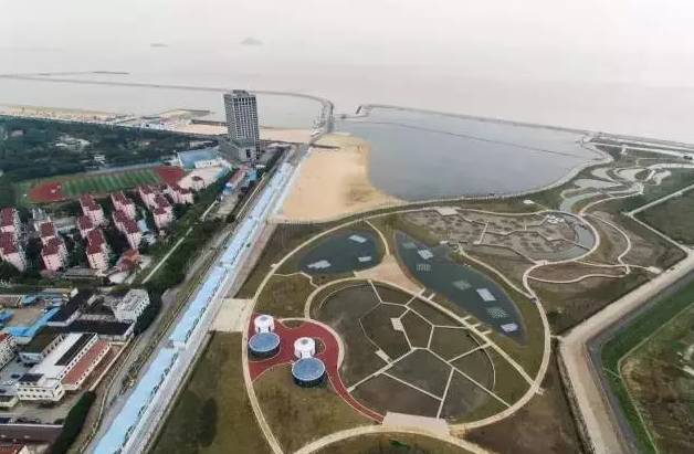 魔都這個23萬平濕地公園，本周末起免費開放