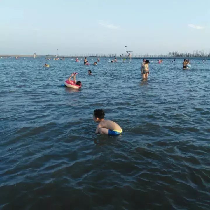 魔都這個23萬平濕地公園，本周末起免費開放