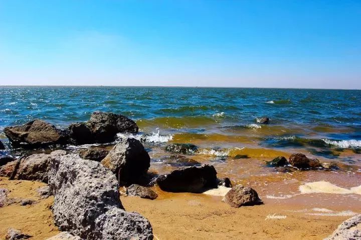 魔都這個23萬平濕地公園，本周末起免費開放