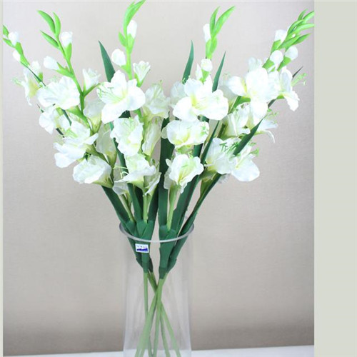 家居花藝風水你留意了嗎