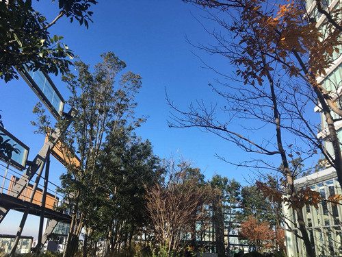 日本景觀考察：與隈研吾、戶田芳樹大師對話