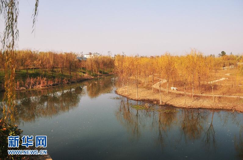 航拍谷城漢江國家濕地公園
