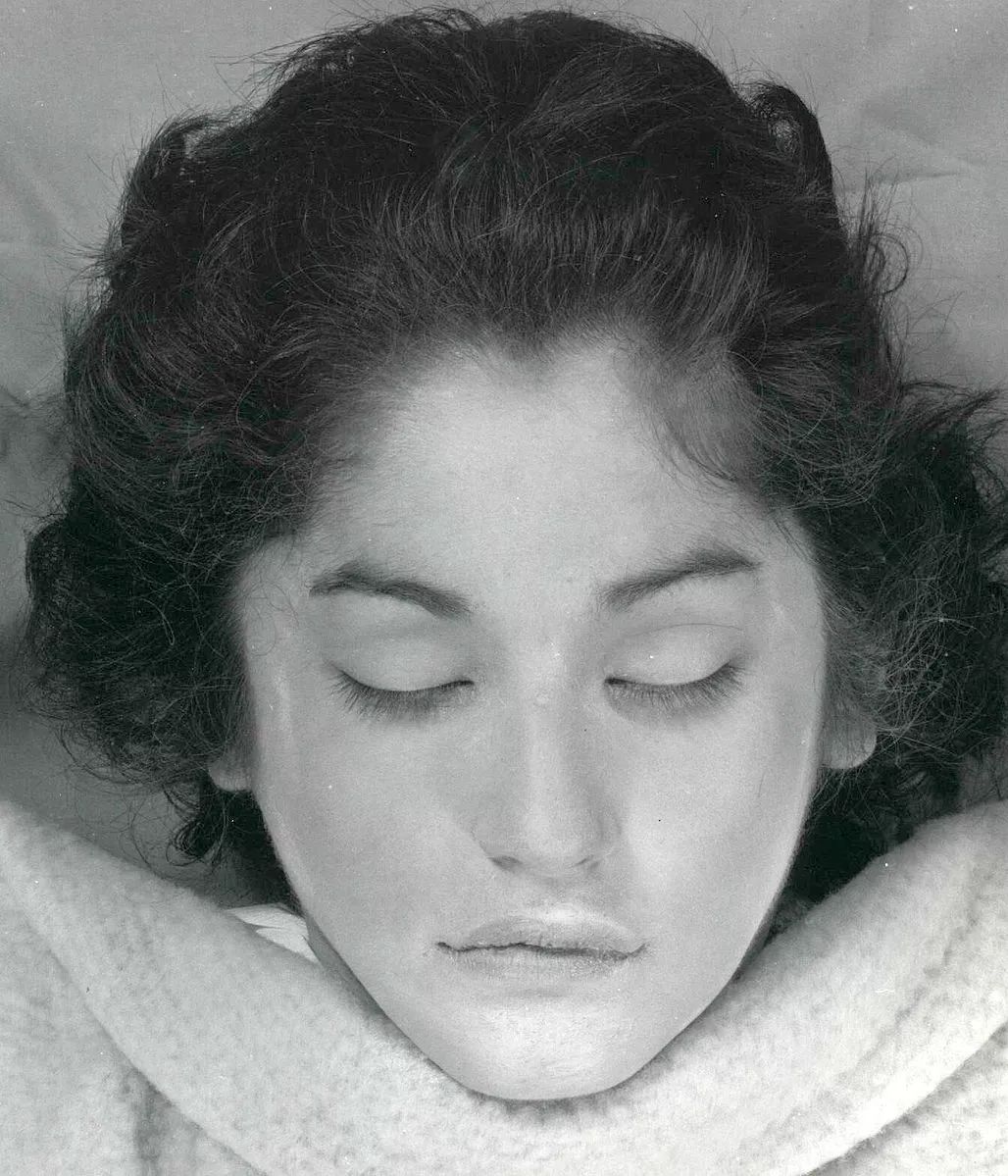 植物可以協(xié)助破案?