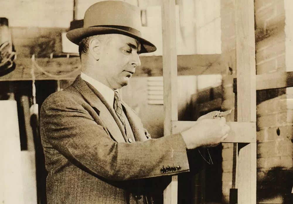 植物可以協(xié)助破案?