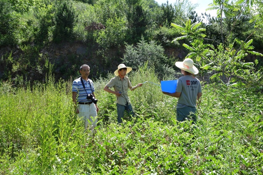 北京市農(nóng)業(yè)野生植物資源保護助推生態(tài)保護