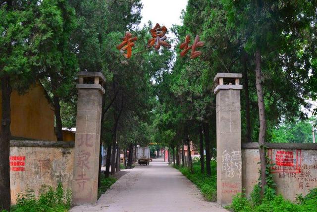 河南千年古寺里的千年古樹仍枝繁葉茂