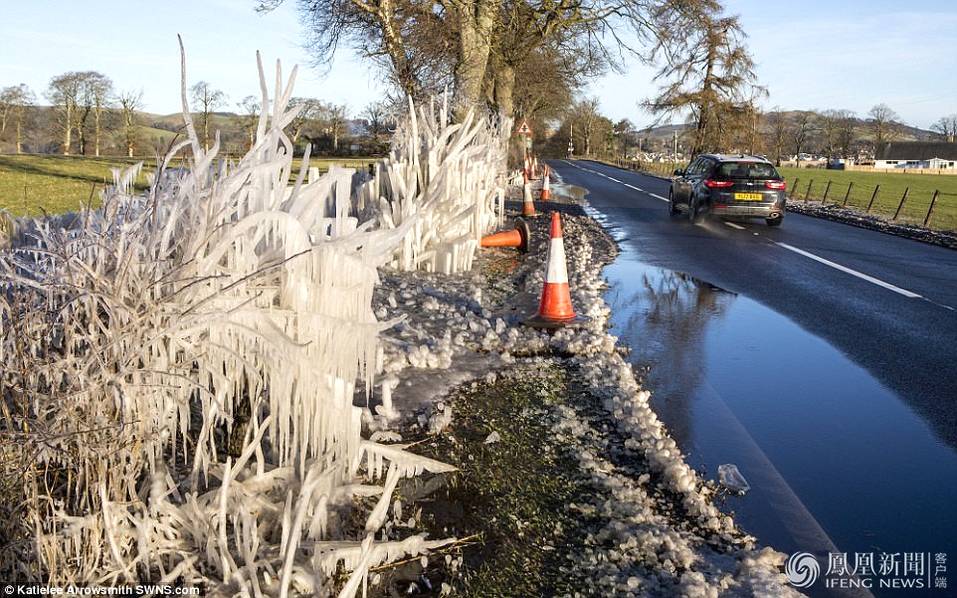 天太冷,英國植物變冰雕