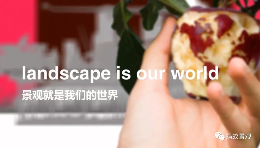 如何成為一名景觀設計師(上)