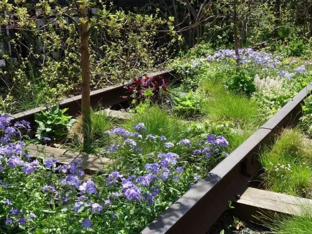 高線公園為什么兩奪asla大獎(jiǎng)？