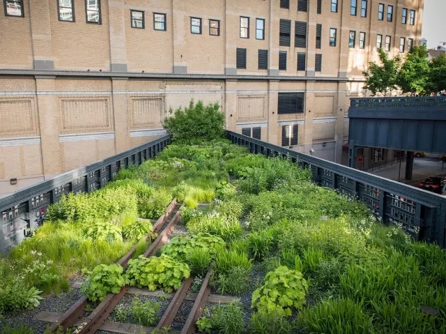 高線公園為什么兩奪asla大獎(jiǎng)？