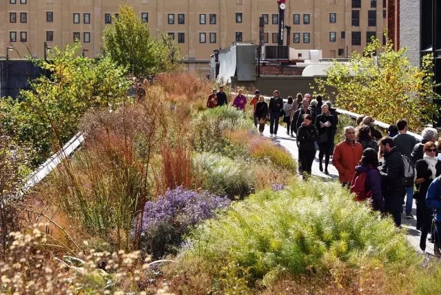 關(guān)于城市復(fù)興高線公園的啟示