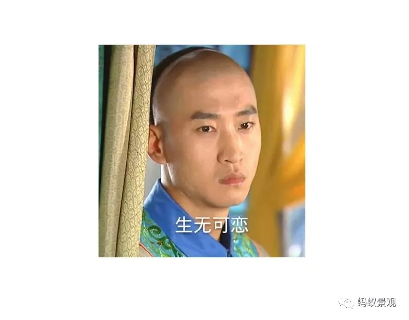 留園技術詳解手冊(上篇)