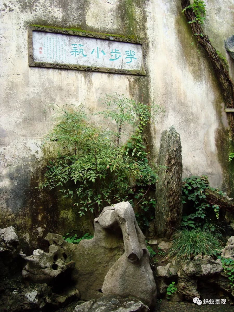 留園技術詳解手冊(上篇)