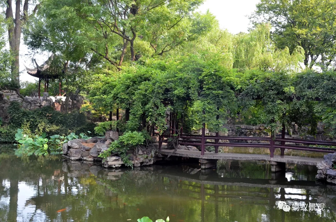 留園技術詳解手冊(上篇)