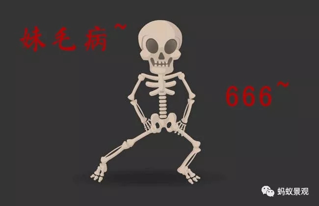 留園技術詳解手冊(上篇)