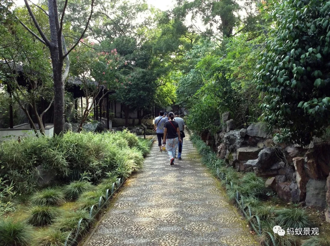 留園技術詳解手冊(上篇)