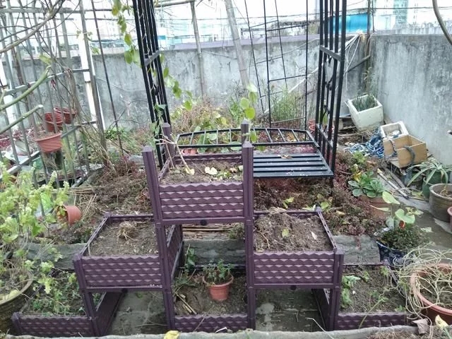 中國和德國屋頂花園發展對比