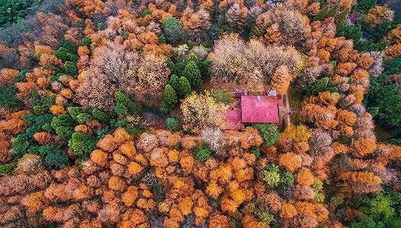 評(píng)論：從莫干山民宿發(fā)展看中國(guó)旅游投資問(wèn)題