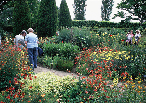 趙泰東：治愈花園中香草的理解