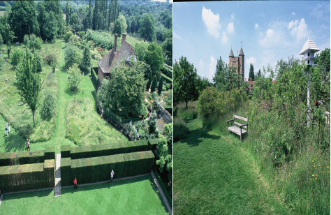 趙泰東：治愈花園中香草的理解