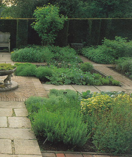 趙泰東：治愈花園中香草的理解