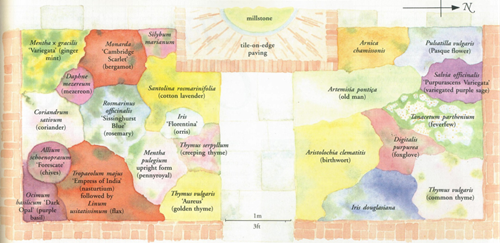 趙泰東：治愈花園中香草的理解