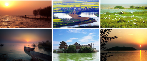 王東坡：合肥市城市設計工作進展與實踐