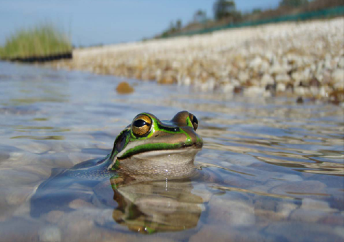 Michael Horne：藍綠基礎設施及人性場所創(chuàng)造