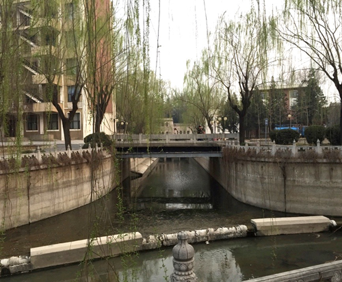 鄭曉笛：學(xué)生參與的校園景觀設(shè)計(jì)與教學(xué)