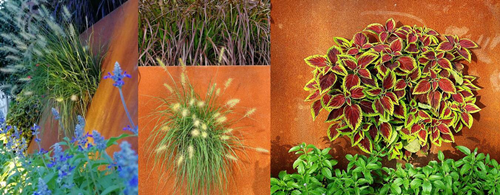 虞金龍：做有創(chuàng)意又有文化的景觀