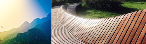 虞金龍：做有創(chuàng)意又有文化的景觀