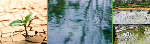 虞金龍：做有創(chuàng)意又有文化的景觀