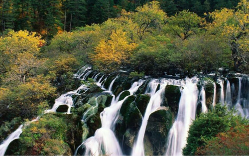 王達:從庭院到風景,重回中國造園的原點