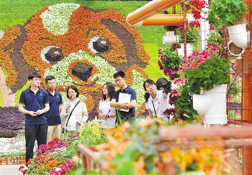 世園會(huì)倒計(jì)時(shí)一周年 北京花木春季花展開幕