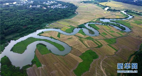 海口：濕地入城美如畫(huà)