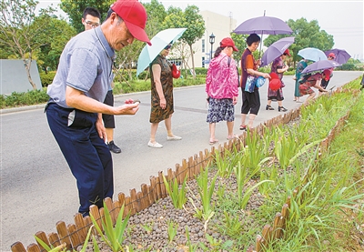 浙江寧波:污泥“搖身”變為綠植陶粒