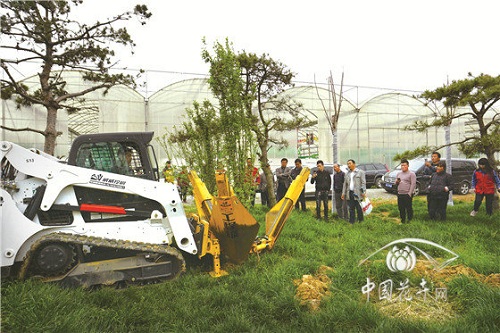 “狼”來了，你會(huì)跟誰“跑”？