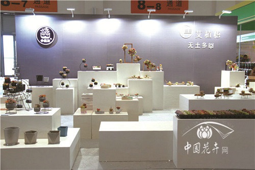炫”只是表象　轉(zhuǎn)變才是內(nèi)核