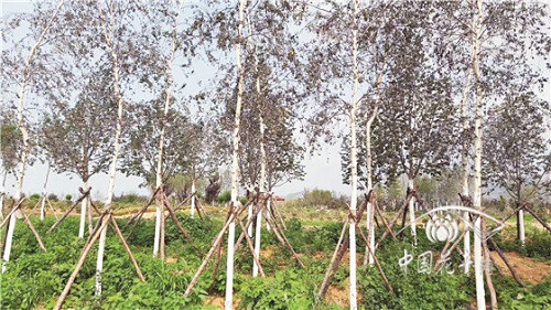 如何實(shí)現(xiàn)生態(tài)園林環(huán)境共享