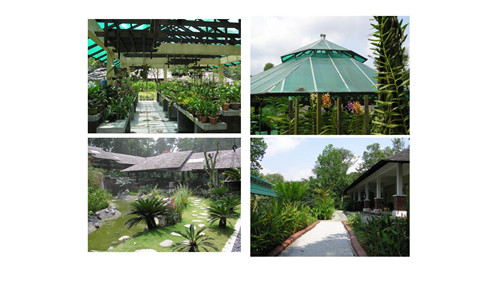 莫?哈姆丹?艾哈邁德:馬來西亞低碳城市建設