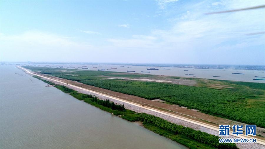 江蘇泰興：生態(tài)修復(fù)　“詩(shī)化”岸線