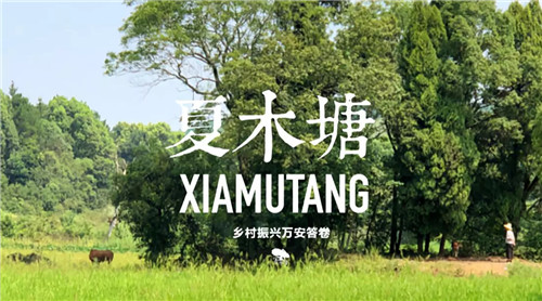 鄉(xiāng)村為底圖，設(shè)計(jì)為橋梁：2018第三屆國際高校建造大賽結(jié)果揭曉