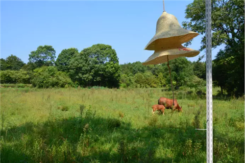 鄉(xiāng)村為底圖，設(shè)計(jì)為橋梁：2018第三屆國際高校建造大賽結(jié)果揭曉