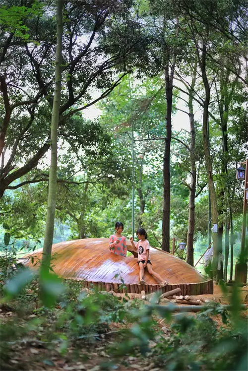 鄉(xiāng)村為底圖，設(shè)計(jì)為橋梁：2018第三屆國際高校建造大賽結(jié)果揭曉
