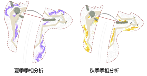 河北省第二屆（秦皇島）園博會(huì)花境創(chuàng)意作品——鏡花九象