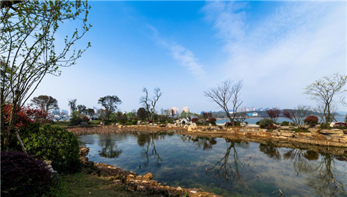 園冶杯專業(yè)獎(jiǎng)：岳陽(yáng)南湖龍山景區(qū)園林綠化景觀EPC項(xiàng)目
