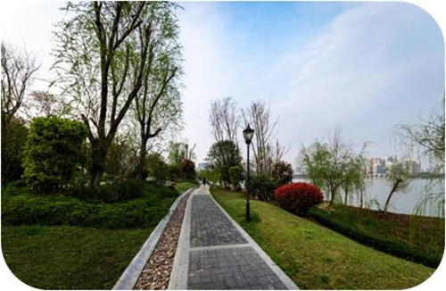 園冶杯專業(yè)獎(jiǎng)：岳陽(yáng)南湖龍山景區(qū)園林綠化景觀EPC項(xiàng)目