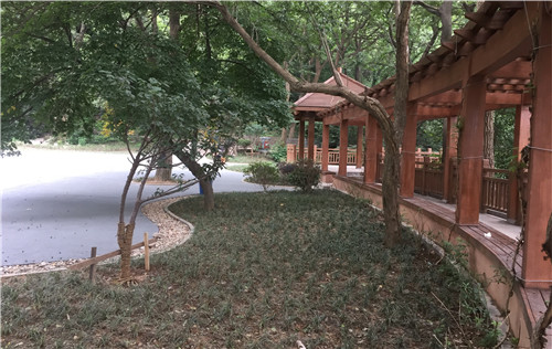 園冶杯專業(yè)獎：中山陵園風(fēng)景區(qū)頭陀嶺區(qū)域環(huán)境整治工程